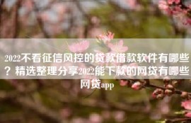 2022不看征信风控的贷款借款软件有哪些？精选整理分享2022能下款的网贷有哪些网贷app