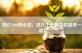 秒过2000的小贷，这几个小额贷款值得一试！