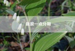 新浪一点分期