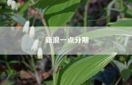新浪一点分期