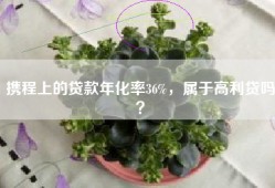 携程上的贷款年化率36%，属于高利贷吗？