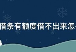360借条有额度借不出来怎么办