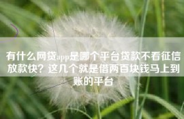 有什么网贷app是哪个平台贷款不看征信放款快？这几个就是借两百块钱马上到账的平台