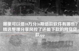 哪里可以借10万分36期借款软件有哪些？精选整理分享风控了还能下款的网贷贷款app