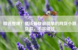 精选整理！借钱最快最简单的网贷小额贷款，不容错过