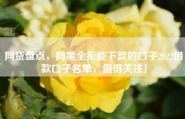 网贷盘点，网黑全拒能下款的口子2022借款口子名单，值得关注！