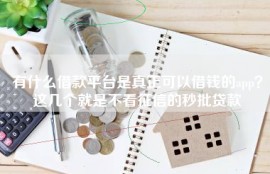 有什么借款平台是真正可以借钱的app？这几个就是不看征信的秒批贷款