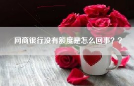 网商银行没有额度是怎么回事？？