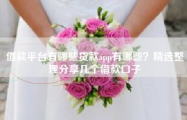 借款平台有哪些贷款app有哪些？精选整理分享几个借款口子