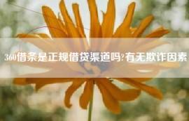 360借条是正规借贷渠道吗?有无欺诈因素