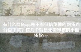有什么网贷app是不看征信负债的网贷百分百下款？这几个就是无需审核的小额贷款app