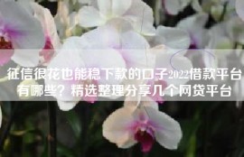 征信很花也能稳下款的口子2022借款平台有哪些？精选整理分享几个网贷平台