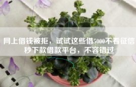 网上借钱被拒，试试这些借5000不看征信秒下款借款平台，不容错过