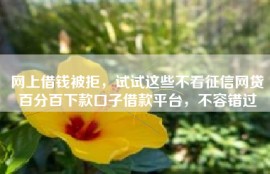 网上借钱被拒，试试这些不看征信网贷百分百下款口子借款平台，不容错过
