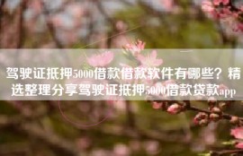 驾驶证抵押5000借款借款软件有哪些？精选整理分享驾驶证抵押5000借款贷款app