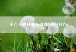 千万不要开通花呗?花呗不好吗?