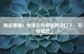 精选整理！快速在线申请网贷口子，不容错过