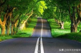 想问问那些负债20几万的人是怎么摆脱债务的？有什么计划吗？