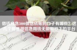 借钱应急3000微信转账的口子有哪些？这几个都是微信急用钱无前期秒下的平台