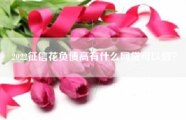 2022征信花负债高有什么网贷可以借？