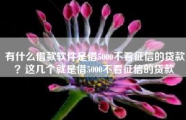 有什么借款软件是借5000不看征信的贷款？这几个就是借5000不看征信的贷款