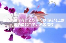 精选整理！有什么软件可以借钱马上到账的借款口子，不容错过