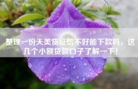 整理一份天美贷征信不好能下款吗，这几个小额贷款口子了解一下！