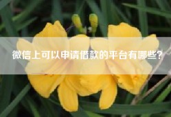微信上可以申请借款的平台有哪些？