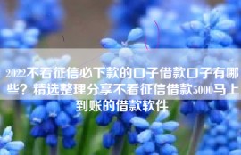 2022不看征信必下款的口子借款口子有哪些？精选整理分享不看征信借款5000马上到账的借款软件