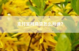 支付宝网商贷怎么开通？