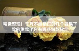 精选整理！千万不能错过的几个容易下款的借款平台有哪些借款软件
