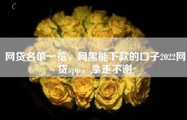 网贷名单一览，网黑能下款的口子2022网贷app，拿走不谢