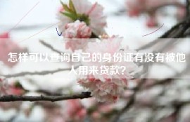 怎样可以查询自己的身份证有没有被他人用来贷款？