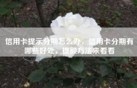 信用卡提示分期怎么办，信用卡分期有哪些好处，提额方法来看看
