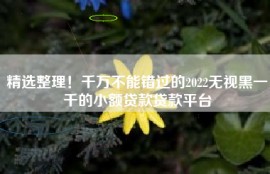 精选整理！千万不能错过的2022无视黑一千的小额贷款贷款平台