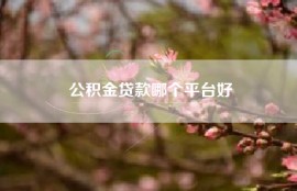 公积金贷款哪个平台好