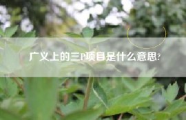 广义上的三P项目是什么意思?