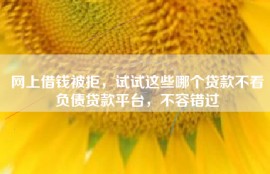 网上借钱被拒，试试这些哪个贷款不看负债贷款平台，不容错过