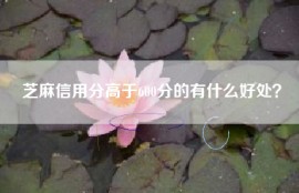 芝麻信用分高于600分的有什么好处？