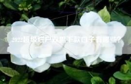 2022超级烂户双黑下款口子有哪些？