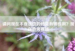 请问现在不查征信的网贷有哪些啊？现在急需要钱