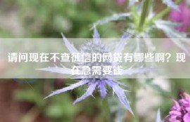 请问现在不查征信的网贷有哪些啊？现在急需要钱