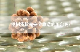 榕树贷款是安全靠谱的平台吗?