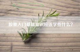 股票入门基础知识应该学些什么？