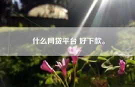 什么网贷平台 好下款。