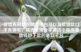 征信有问题在哪个平台可以贷款借款口子有哪些？精选整理分享微信小程序里借钱秒下款的借款平台