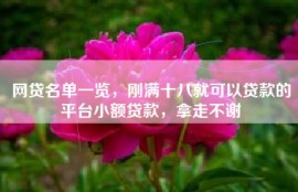 网贷名单一览，刚满十八就可以贷款的平台小额贷款，拿走不谢