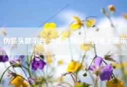 伪装头部平台 一批违规现金贷卷土重来