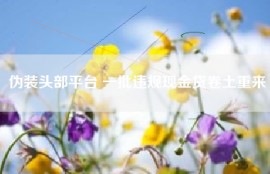 伪装头部平台 一批违规现金贷卷土重来