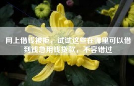 网上借钱被拒，试试这些在哪里可以借到钱急用钱贷款，不容错过